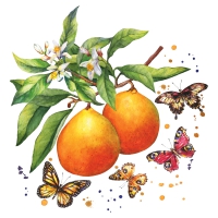 餐巾33x33厘米 - Fruity Butterflies