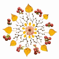 Servietten 33x33 cm - Leaves and Berries