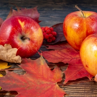 Napkins 33x33 cm - Autumn Apples