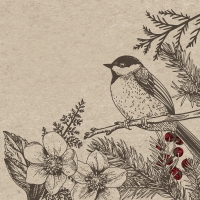 Servetten 24x24 cm - Botanical Xmas