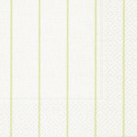 Napkins 24x24 cm - Home white/green