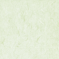 Servetten 24x24 cm - Pure pale green