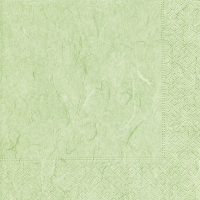 Servilletas 24x24 cm - Pure mint green