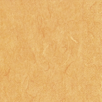 Serviettes 24x24 cm - Pure orange