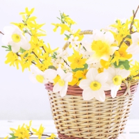 Napkins 33x33 cm - Daffodil basket