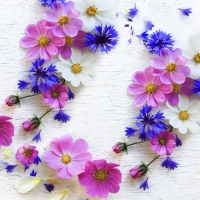Napkins 33x33 cm - Summer florals