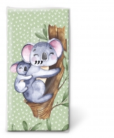 Taschentücher - Koalas