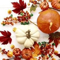 餐巾33x33厘米 - Pumpkin & leaves