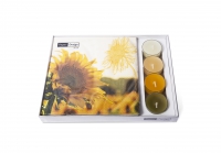 Combibox - Dusk Sunflower