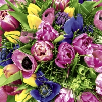 Serviettes 33x33 cm - Spring Florals