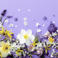 Tovaglioli 24x24 cm - Soft spring lilacs