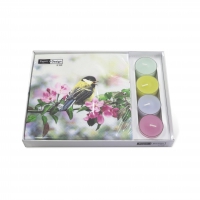 Combibox - Co-Pack Spring bird