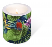 Dekorkerze - Decorated Candle Jungle paraiso
