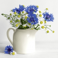 Napkins 33x33 cm - Summer bouquet