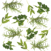 Serviettes 33x33 cm - Herbs