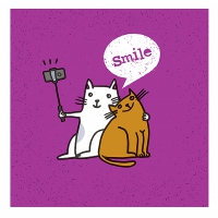 Servetten 33x33 cm - Smiling selfie