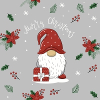 Napkins 33x33 cm - Tomte with Gift