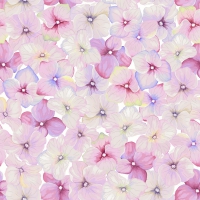 Servietten 24x24 cm - Small blossoms