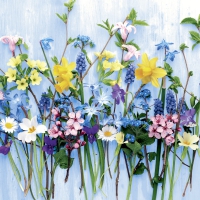 Napkins 33x33 cm - Spring flowers