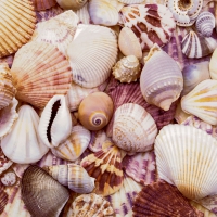 Салфетки 33x33 см - Seashells