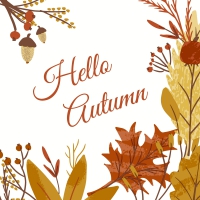 Serviettes 33x33 cm - Hello Autumn