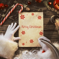 餐巾33x33厘米 - Letter from Santa