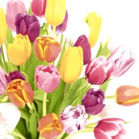 Napkins 33x33 cm - Beautiful Tulips