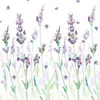 Serviettes 24x24 cm - Lavendream