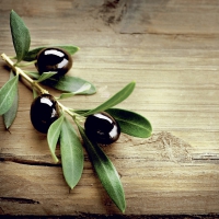 Servietten 33x33 cm - Olives in a wood