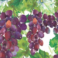 Servietten 33x33 cm - Vineyard elegance