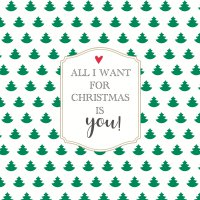 Servilletas 33x33 cm - All I want