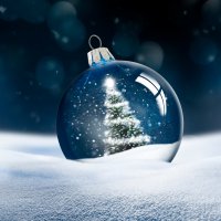 Servilletas 33x33 cm - Arctic Dream