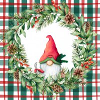Napkins 24x24 cm - Xmas check