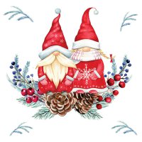 Napkins 33x33 cm - Tomte couple