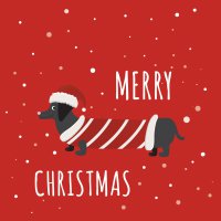 Serviettes 33x33 cm - Dachshund