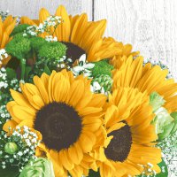 Napkins 24x24 cm - Harvest sunflower
