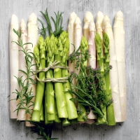 Servilletas 33x33 cm - Delicious asparagus
