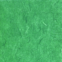 Servilletas 33x33 cm - Pure fern green