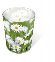 Glaskerze - Full of daisies