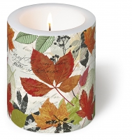 decorative candle - Candle Herbarium