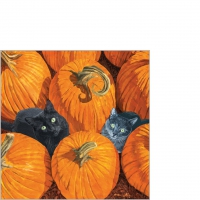 Servietten 25x25 cm - Pumpkin Patch Cats Napkin 25x25