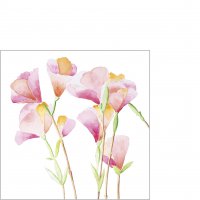 Napkins 25x25 cm - Godesias