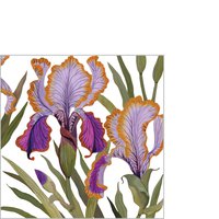 Napkins 25x25 cm - Dominique