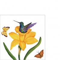 Servilletas 25x25 cm - Daffodil Nest Napkin 25x25