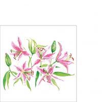 餐巾25x25厘米 - Stargazer Lilies Napkin 25x25