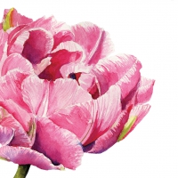 Салфетки 25х25 см - Pink Parrot Tulip Napkin 25x25