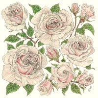 餐巾33x33厘米 - Roses Napkin 33x33