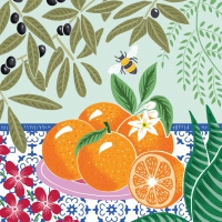 Serviettes 33x33 cm - Alicante Napkin