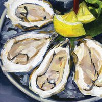 Serviettes 33x33 cm - On the Halfshell