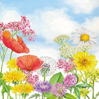 Napkins 33x33 cm - Summer Day